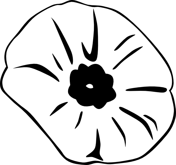 Poppy Flower Illustration - Symbolic Black & White Line Art