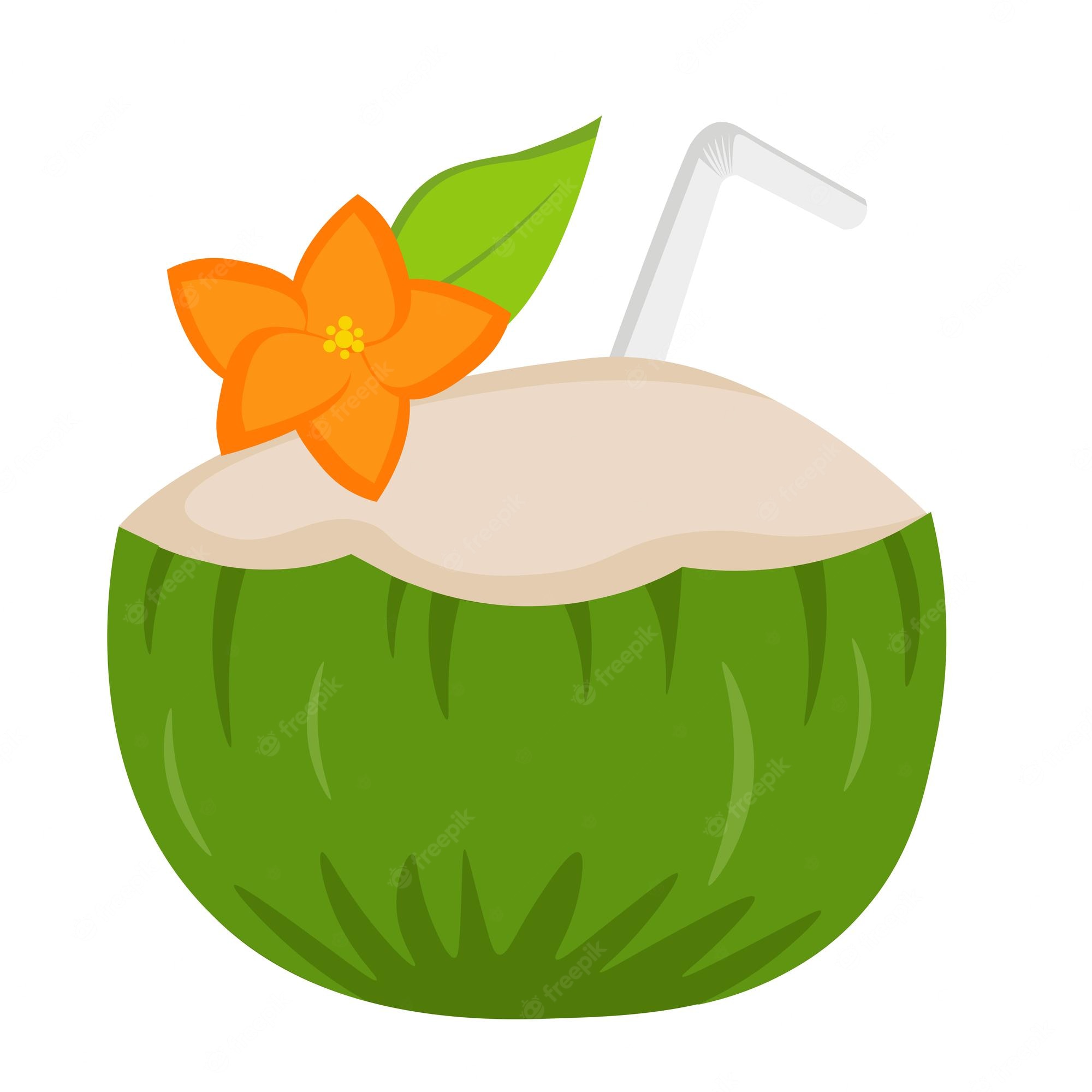 Coconut clipart. Free download transparent .PNG Clipart Library - Clip ...