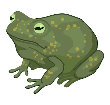 Free halloween toads, Download Free halloween toads png images, Free ...