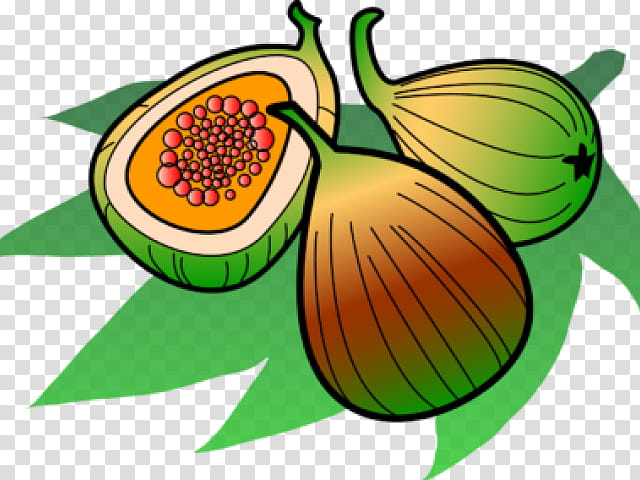 Illustration of three figs-two whole and one halved to reveal pink seeds and orange pulp-on green leaves.