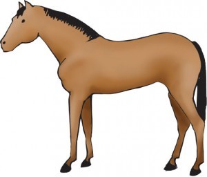 A side-view illustration of a light brown horse with a black mane and tail, standing in profile against a white background.