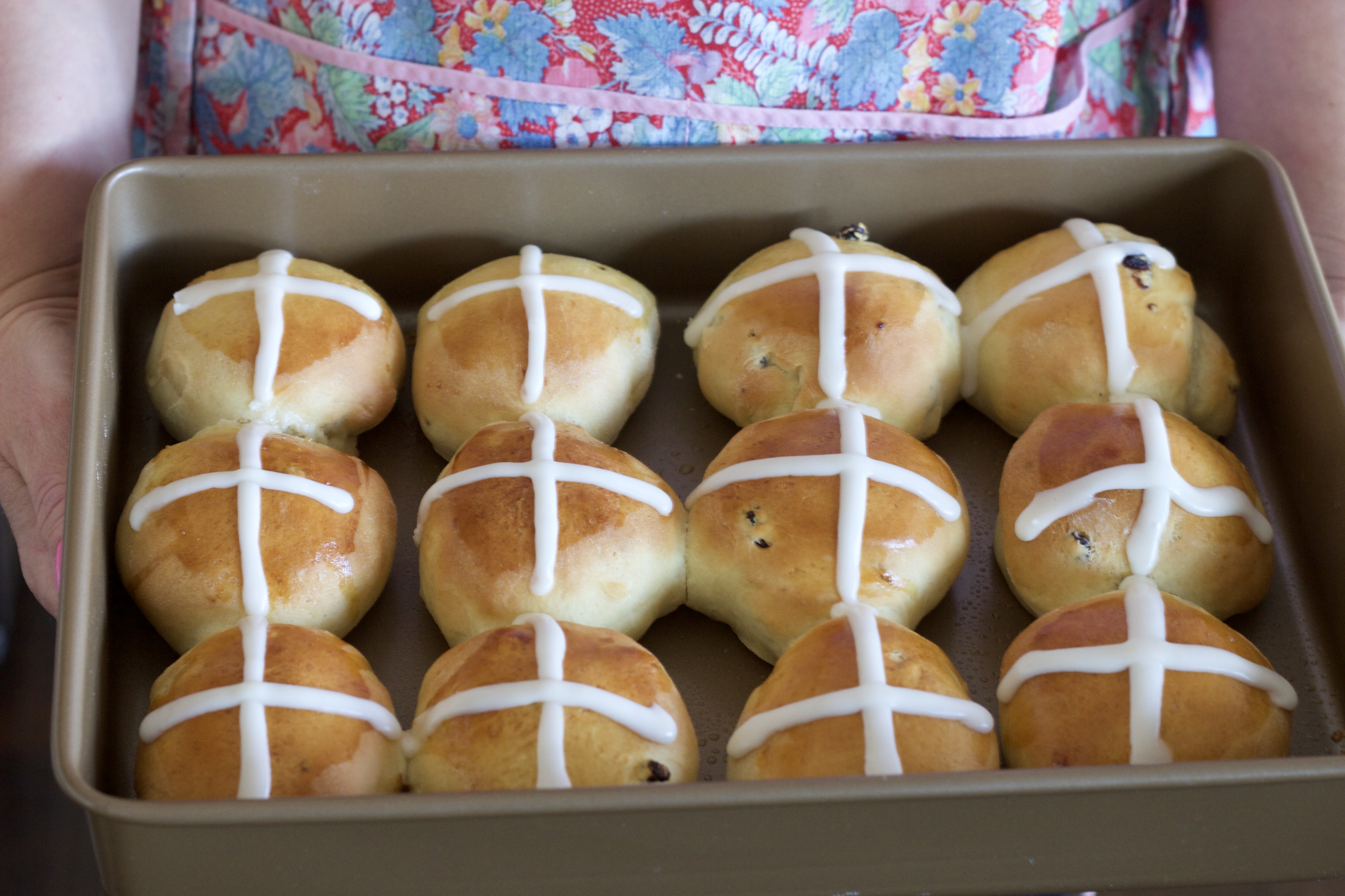 Freshly baked hot cross buns in a baking tray, topped with white icing crosses and held by hands with floral apron background.