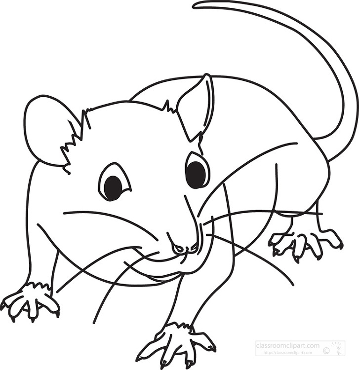 Whiskers Clipart Little Mouse - Cute Rat Cartoon Black And White - Clip ...