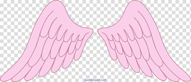 Soft pink angel wings illustration with layered feathers on transparent background.