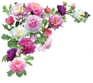 A vibrant bouquet of pink, white, and purple peonies with green leaves and butterflies, arranged diagonally on a transparent background.
