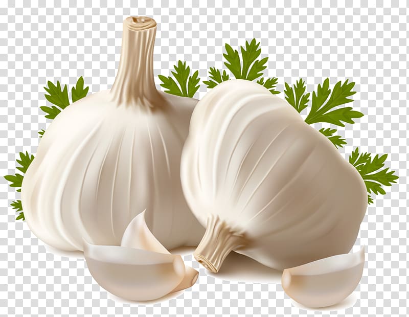 Garlic Bulbs and Cloves - Culinary Ingredient & Health Benefits