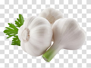 Fresh garlic bulbs with green stems and parsley garnish on transparent background