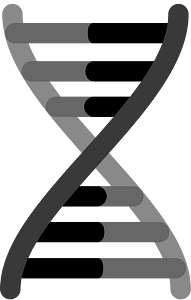Stylized DNA double helix with gray backbone and black base pairs on green background.