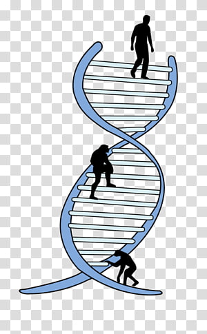 Silhouettes of three human figures climbing a DNA double helix staircase, symbolizing genetic progress and evolution.