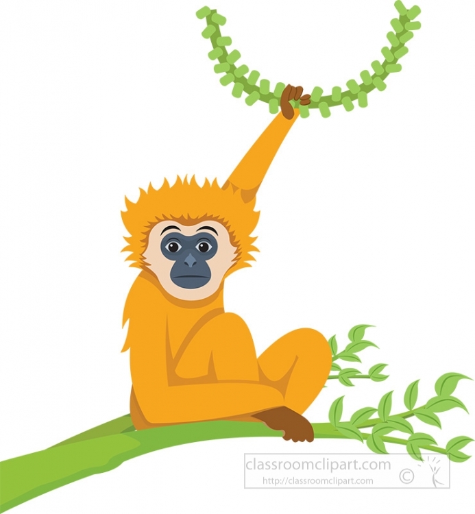 Orange-furred gibbon with dark face sits on a green branch, holding leafy vine overhead.