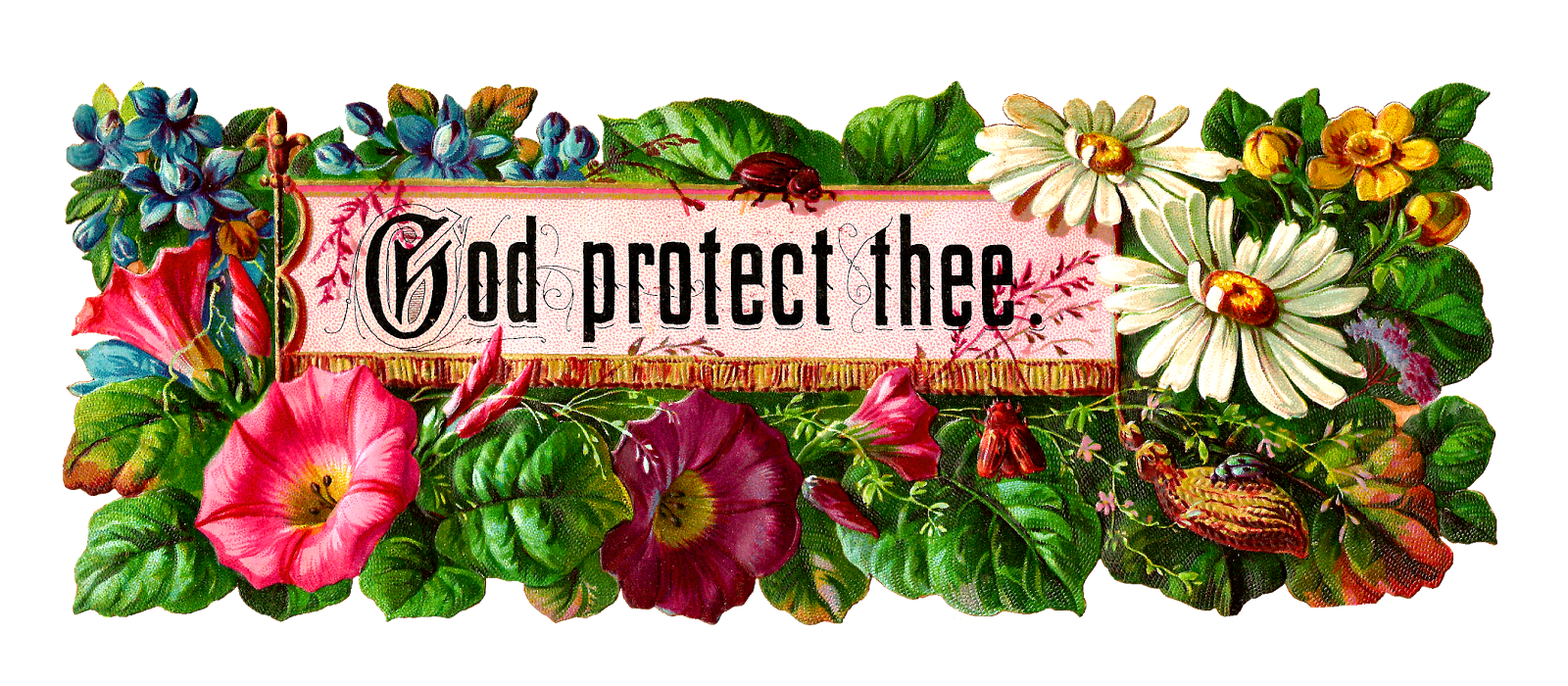 Vintage floral banner with "God protect thee" in ornate script, surrounded by colorful flowers, leaves, and insects.