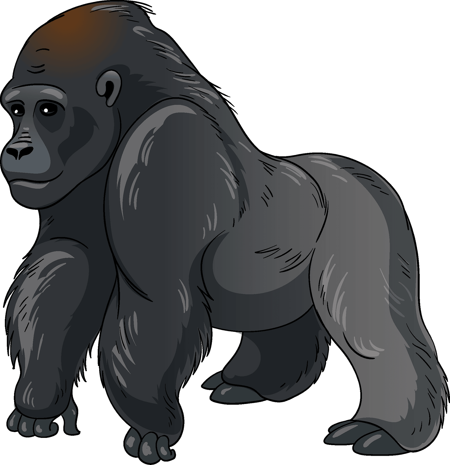 gorillas - Clip Art Library