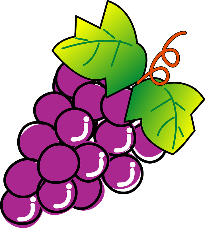 A colorful cartoon illustration of a bunch of purple grapes with green leaves and a vine curl.