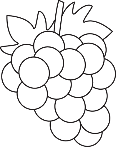 Black-and-white line drawing of a grape cluster with leaves and stem, ideal for coloring pages or educational materials.