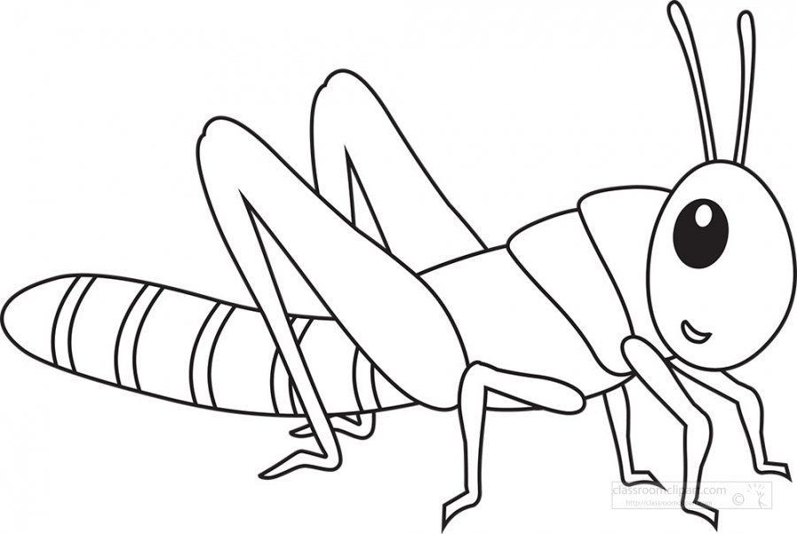 Grasshoppers - Clip Art Library