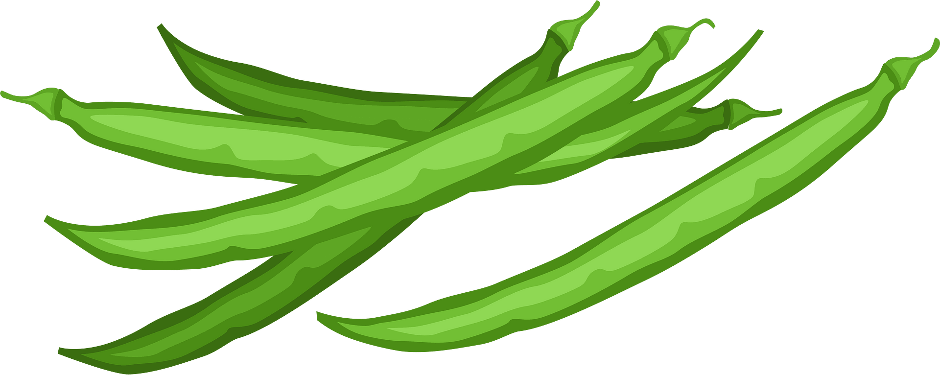 Green Bean Clip Art Tumundografico Clipart Library Clipart Library 