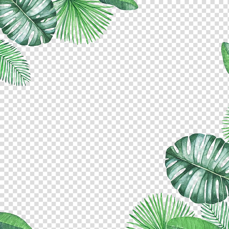Watercolor tropical leaf border with monstera and palm fronds on transparent background