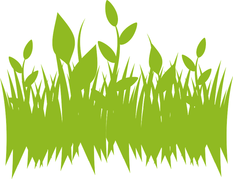 Stylized green grass and leafy sprouts on a muted gray background, representing growth and nature.