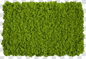 Dense, vibrant green preserved moss panel with natural texture and uniform coverage.