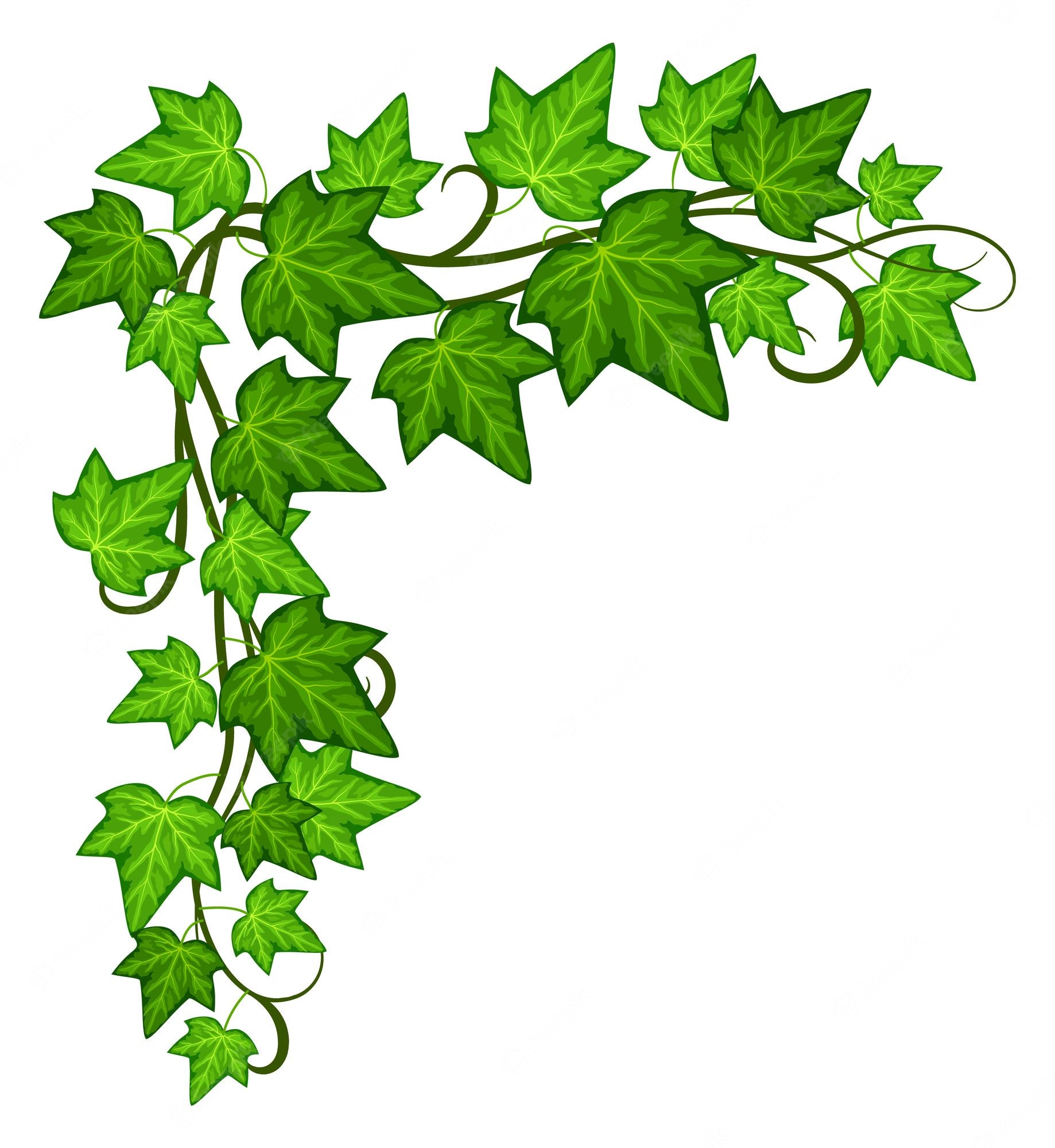 Leaves Corner PNG, Vector, PSD, and Clipart With Transparent - Clip Art ...