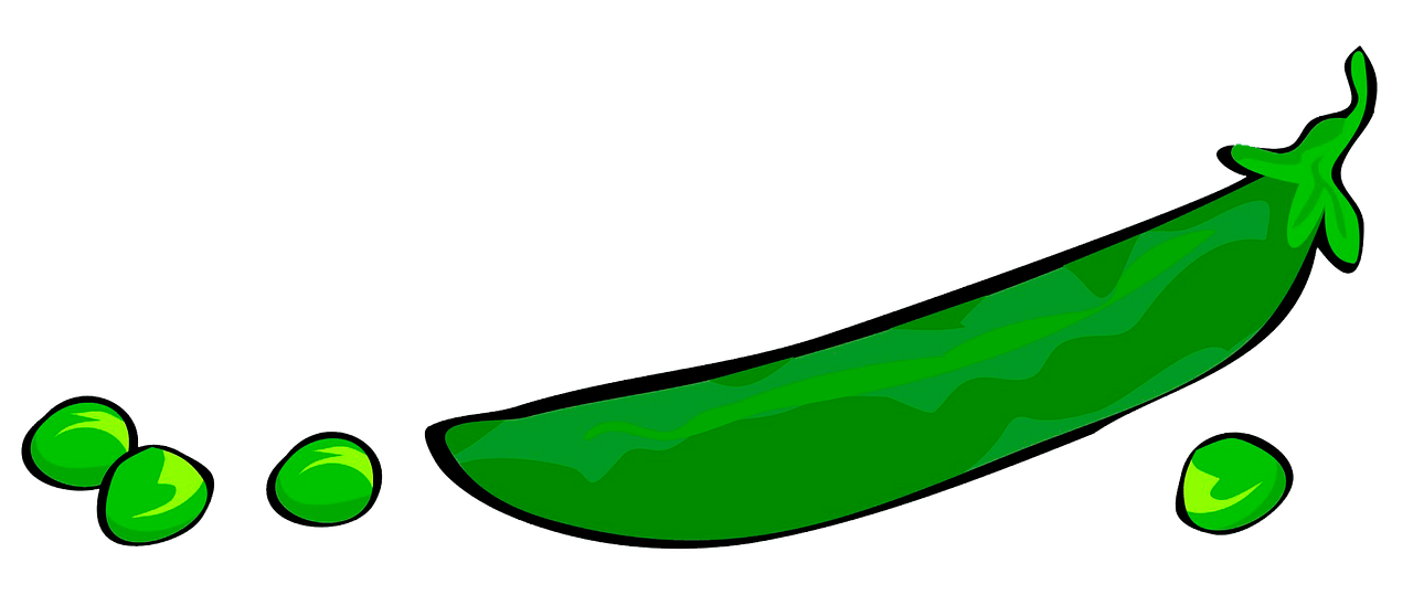 A vibrant green pea pod with four loose peas scattered nearby on a gray background.