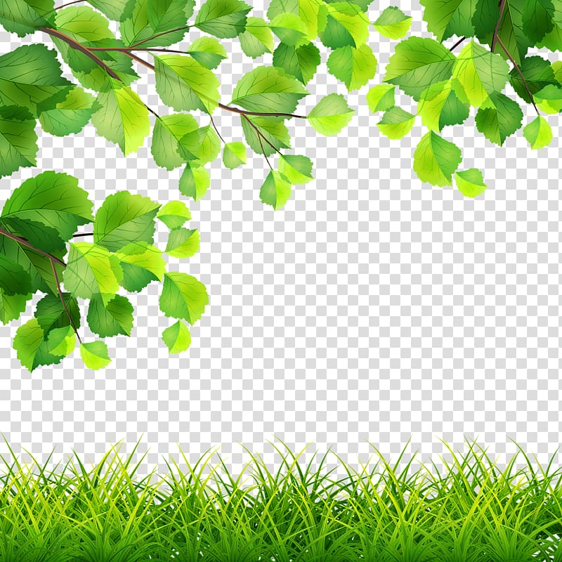 Fresh green leaves and grass border on transparent background, ideal for nature-themed designs.