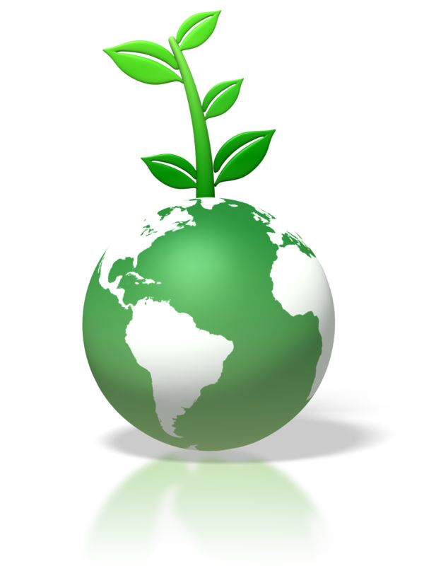 Green globe with a sprouting plant symbolizing environmental sustainability and eco-friendly growth.