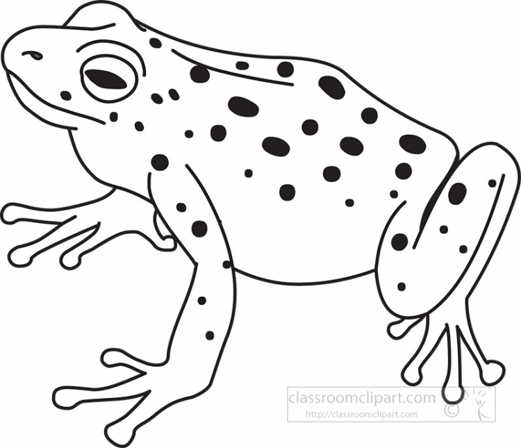 frog outline - Clip Art Library