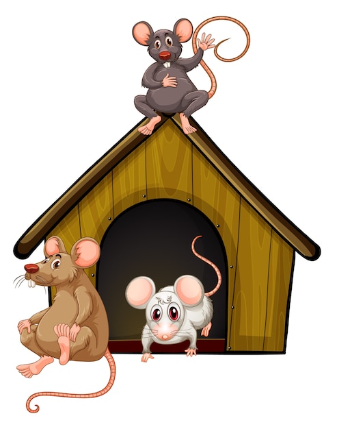 The Church Mouse: Rich and Poor – Meigs Independent Press - Clip Art ...