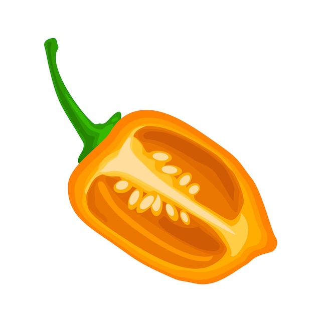 Habanero Pepper - Spicy, Flavorful, and Vibrant Orange Chili