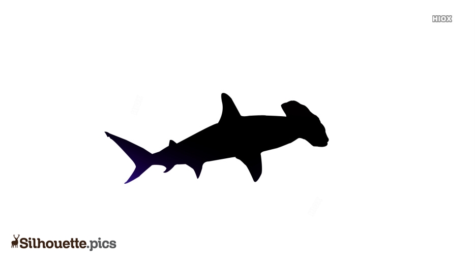 Hammerhead Shark Silhouette Vector Image | Free Download