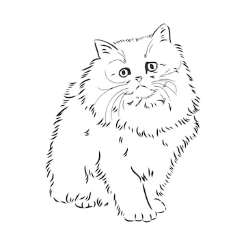Line drawing of a fluffy Persian cat sitting upright with wide eyes and expressive whiskers.