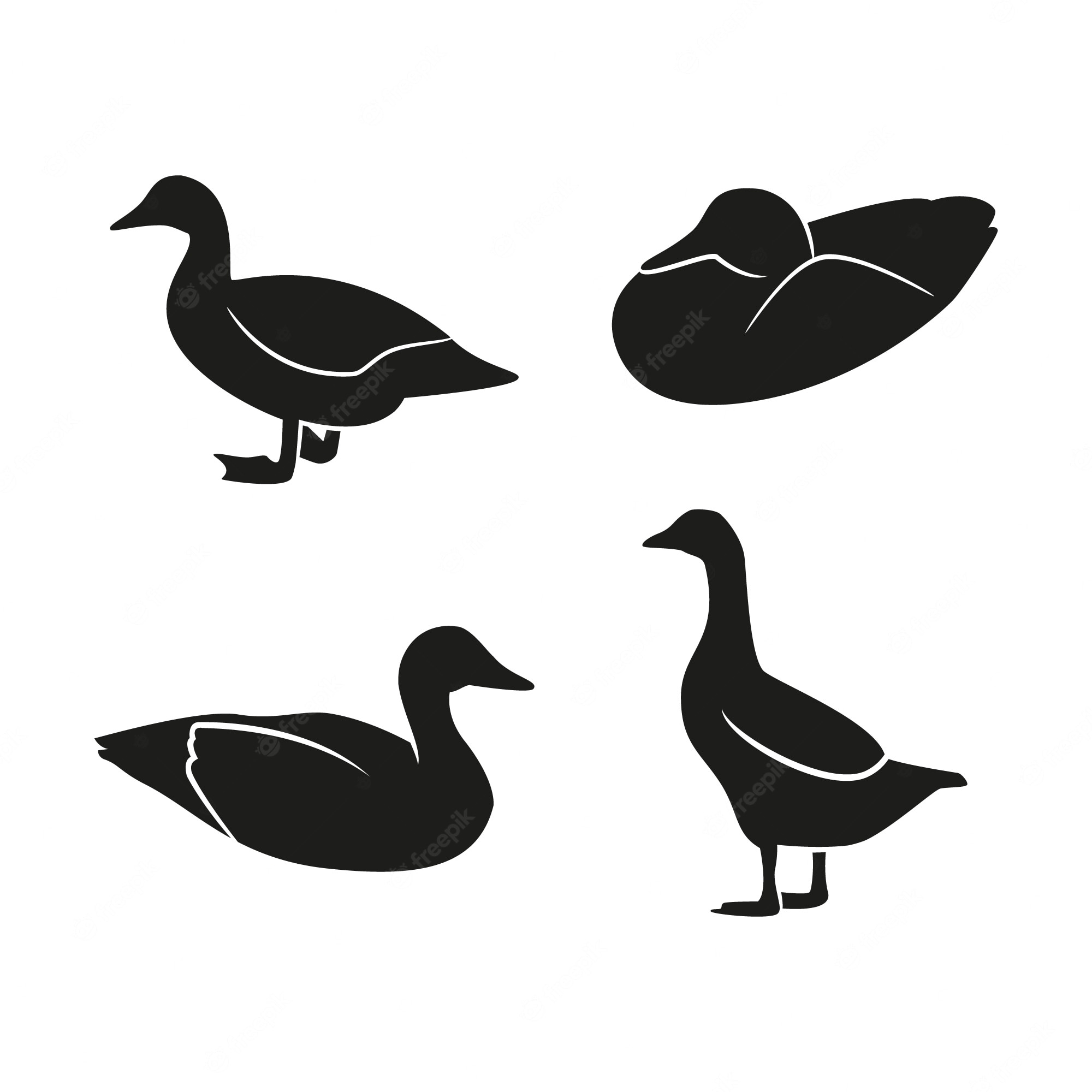 53-914-duck-silhouette-images-stock-photos-vectors-shutterstock