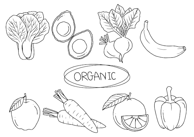 Organic Produce Illustration - Fresh Fruits & Vegetables Line Art
