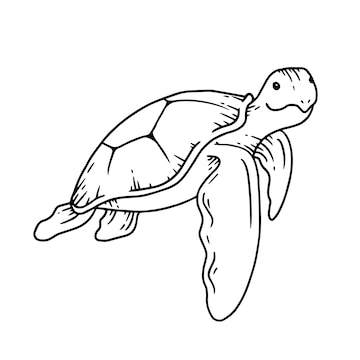 Free Turtle Outline Cliparts, Download Free Turtle Outline - Clip Art ...