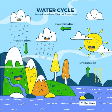 water cycle - Clip Art Library