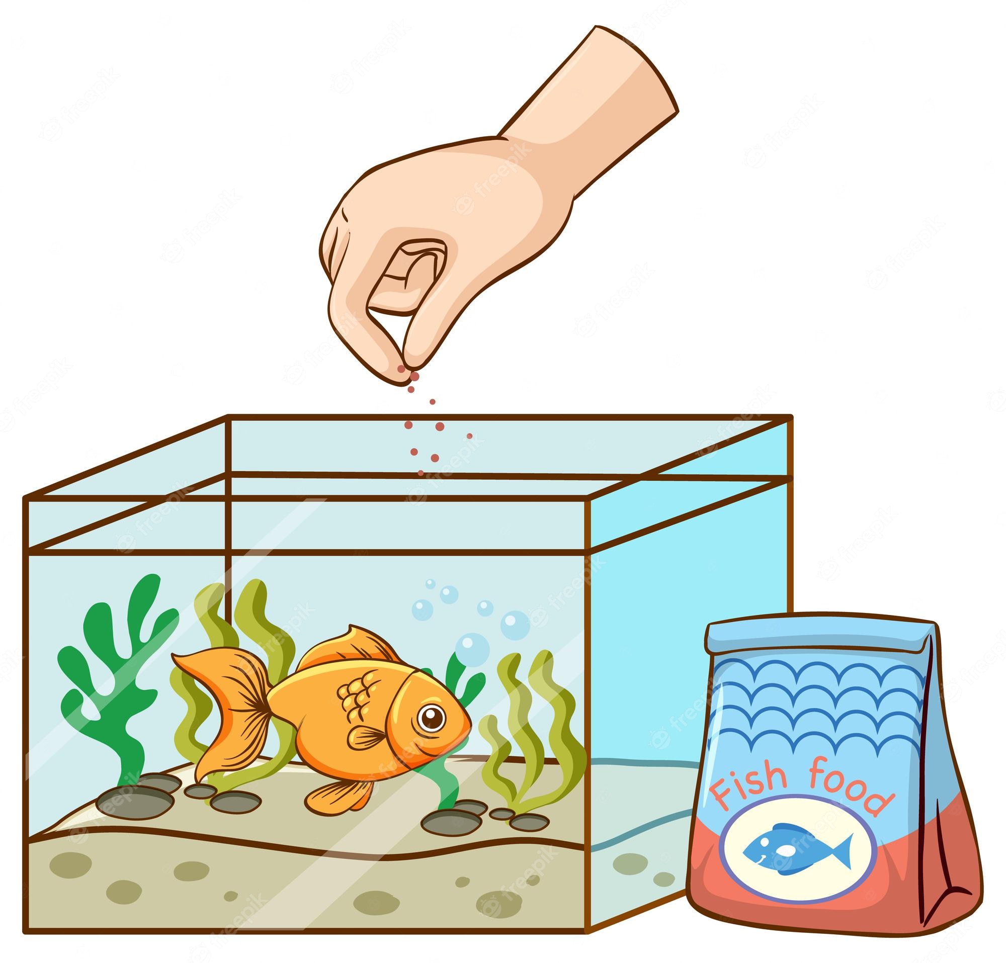 Free Turtle Tanks Download Free Turtle Tanks Png Images Free Cliparts