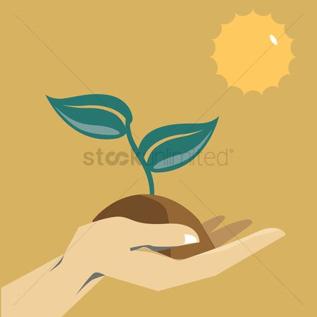 Nurturing Growth - Sustainable Planting and Environmental Care