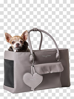 A small Chihuahua peeks out of a stylish gray pet carrier bag with heart-shaped tag.