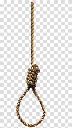 A noose made of twisted rope hanging against a transparent background.