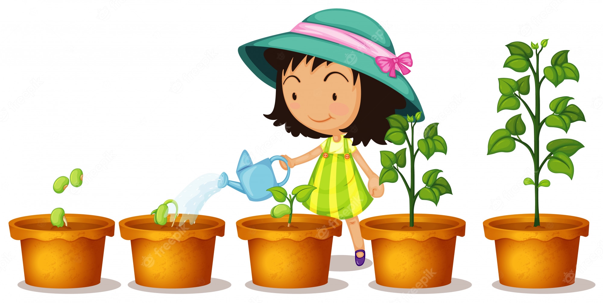A smiling girl in a green hat waters potted plants showing stages of growth from seed to mature plant.