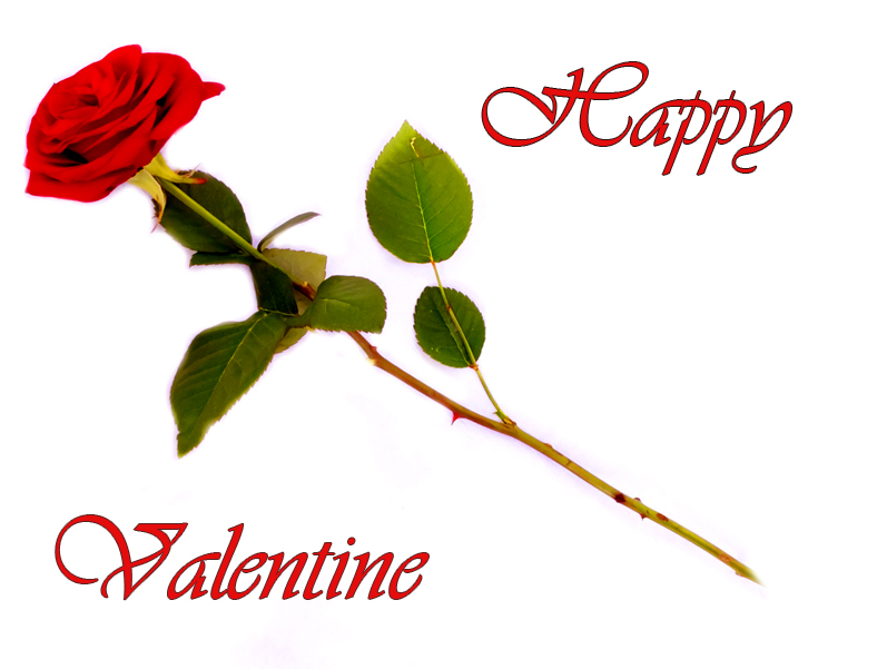 A single red rose with green leaves and stem, accompanied by "Happy Valentine" in elegant red script on white background.