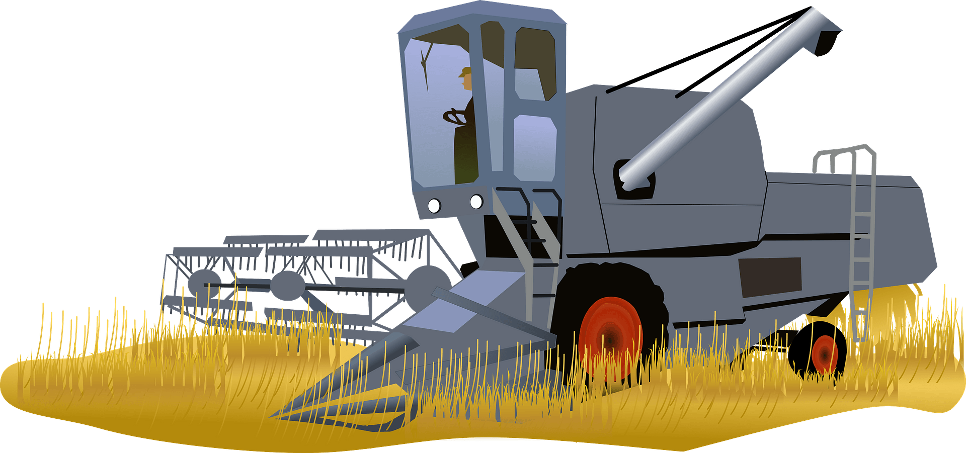 Gray combine harvester with red wheels harvesting golden wheat in a field.