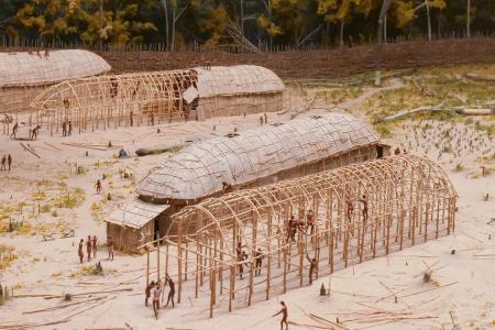 Longhouses Facts