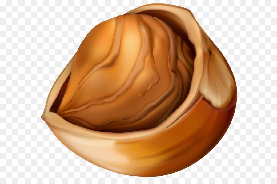 Cracked hazelnut revealing smooth, rich brown kernel with glossy texture and natural ridges.
