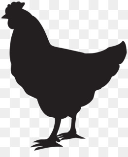 Black silhouette of a standing hen on transparent background.