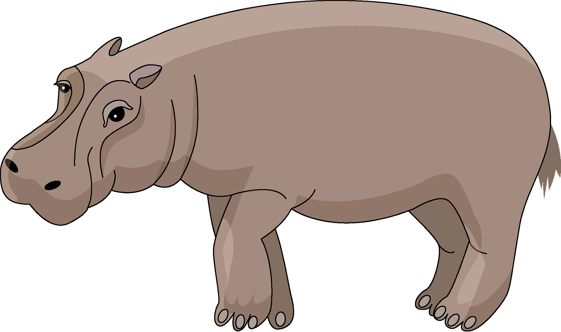 free-hippo-cliparts-download-free-hippo-cliparts-png-images-free