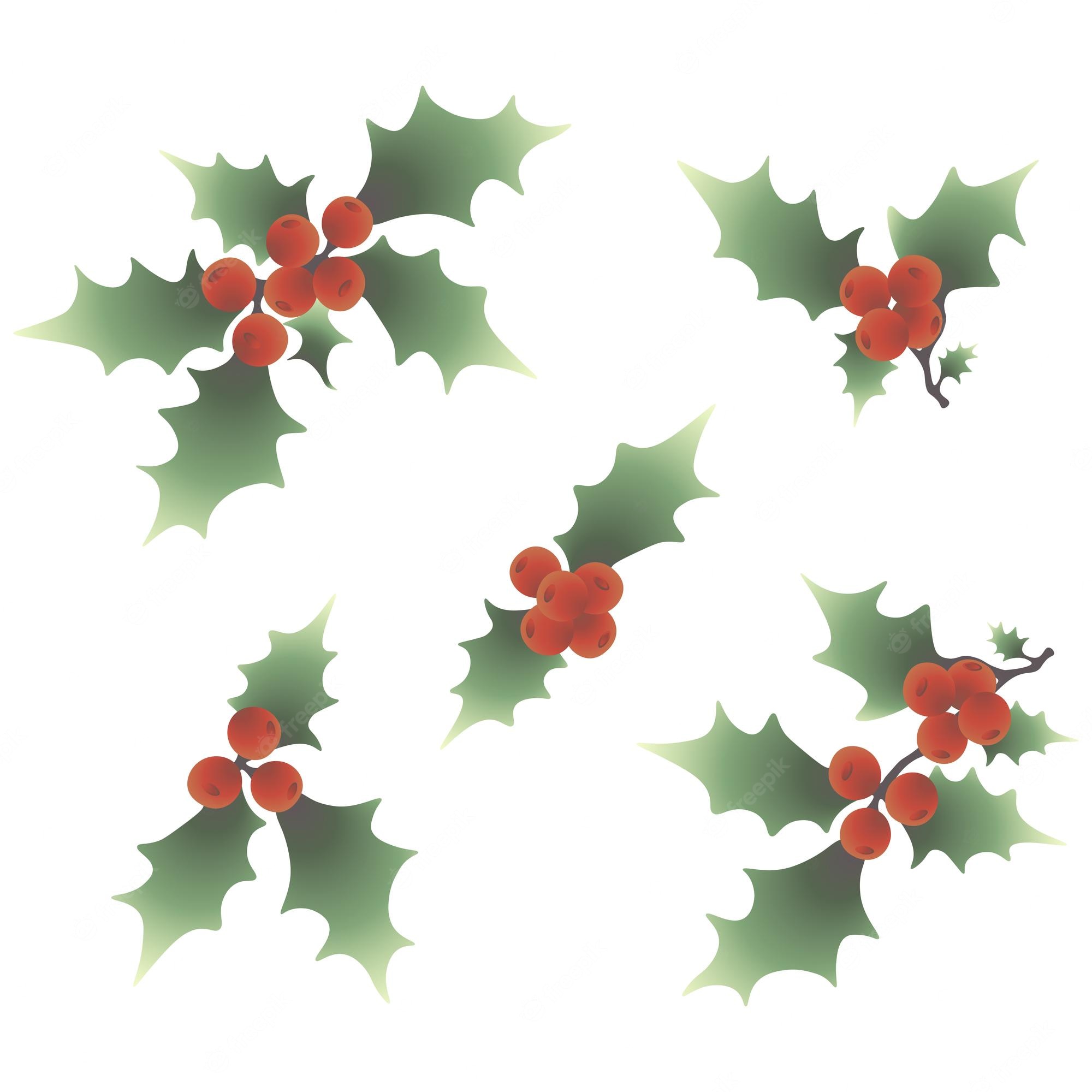 FREE Christmas Holly Clipart (Royalty-free)