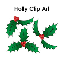 Green holly leaves with red berries, festive Christmas clip art illustration.