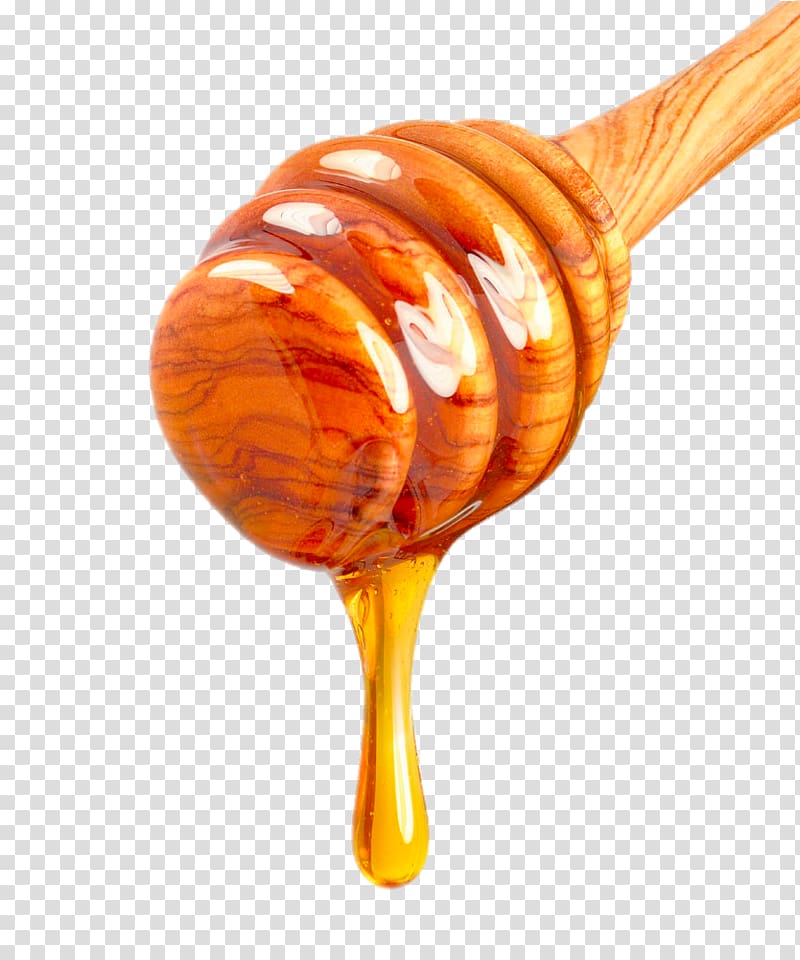 Golden honey dripping from a wooden honey dipper against transparent background.